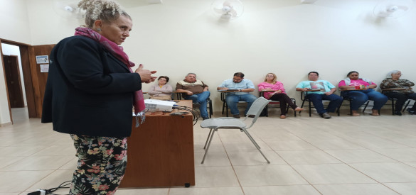 Diretora Executiva apresenta o INDSH como gestor do HSVP